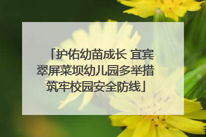 护佑幼苗成长 宜宾翠屏菜坝幼儿园多举措筑牢校园安全防线