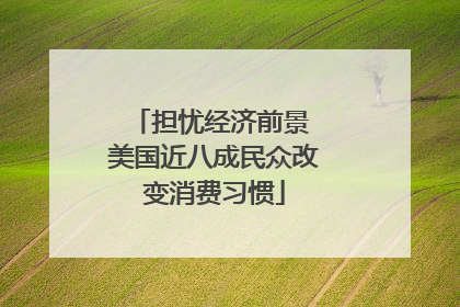 担忧经济前景 美国近八成民众改变消费习惯