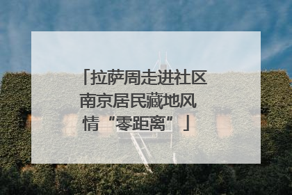 拉萨周走进社区 南京居民藏地风情“零距离”