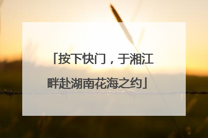 按下快门，于湘江畔赴湖南花海之约