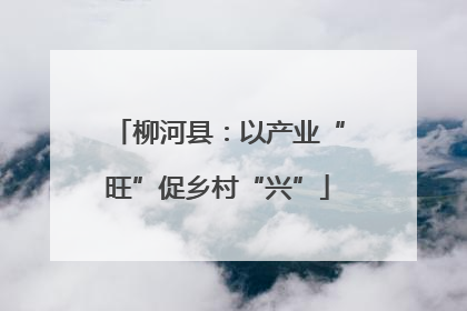 柳河县：以产业“旺”促乡村“兴”