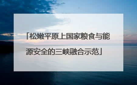 松嫩平原上国家粮食与能源安全的三峡融合示范