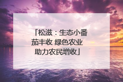 松滋：生态小番茄丰收 绿色农业助力农民增收