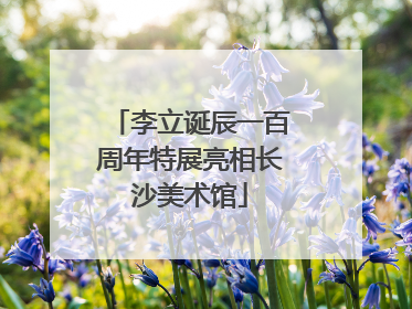 李立诞辰一百周年特展亮相长沙美术馆