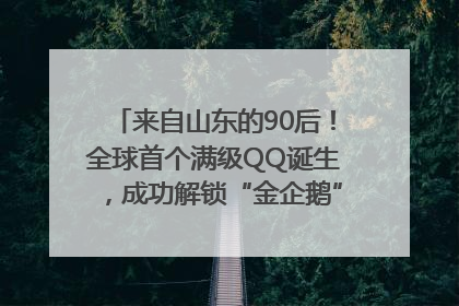 来自山东的90后！全球首个满级QQ诞生，成功解锁“金企鹅”，是继承父亲账号