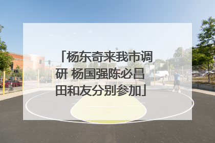 杨东奇来我市调研 杨国强陈必昌田和友分别参加