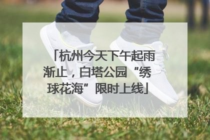 杭州今天下午起雨渐止，白塔公园“绣球花海”限时上线