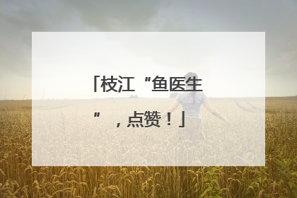 枝江“鱼医生”，点赞！