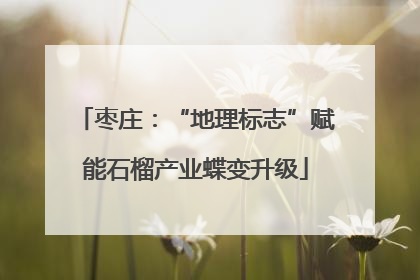 枣庄：“地理标志”赋能石榴产业蝶变升级