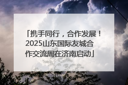 携手同行，合作发展！2025山东国际友城合作交流周在济南启动