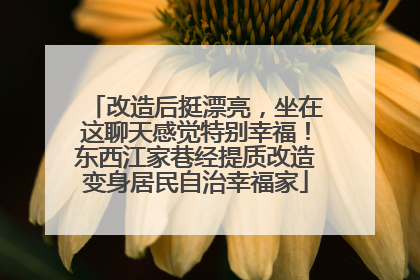 改造后挺漂亮，坐在这聊天感觉特别幸福！东西江家巷经提质改造变身居民自治幸福家