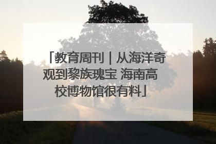 教育周刊｜从海洋奇观到黎族瑰宝 海南高校博物馆很有料