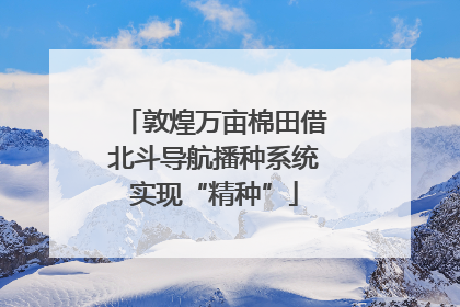 敦煌万亩棉田借北斗导航播种系统实现“精种”