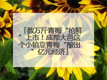 数万斤青梅“抢鲜”上市！成都大邑这个小镇靠青梅“酿出”亿元经济