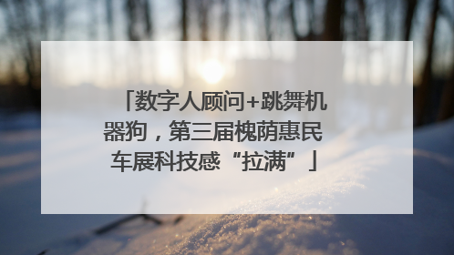 数字人顾问+跳舞机器狗，第三届槐荫惠民车展科技感“拉满”