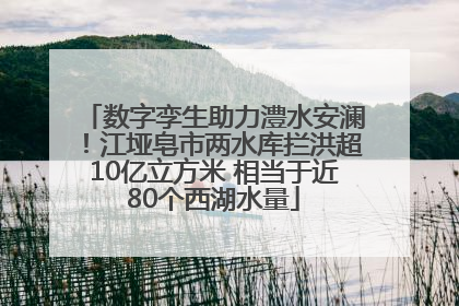 数字孪生助力澧水安澜！江垭皂市两水库拦洪超10亿立方米 相当于近80个西湖水量