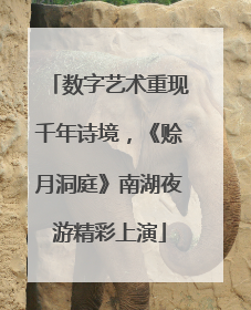 数字艺术重现千年诗境，《赊月洞庭》南湖夜游精彩上演