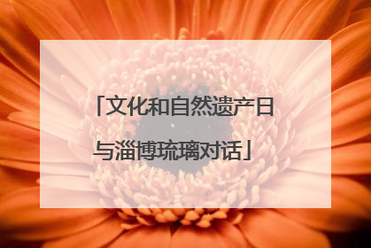文化和自然遗产日与淄博琉璃对话