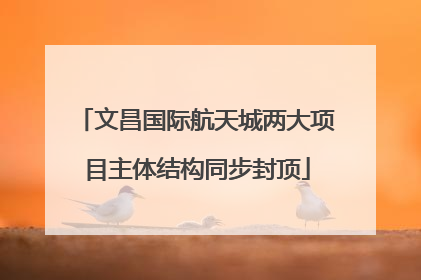 文昌国际航天城两大项目主体结构同步封顶