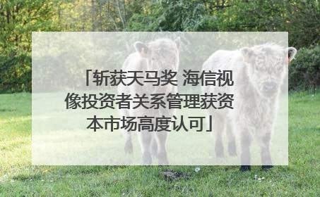 斩获天马奖 海信视像投资者关系管理获资本市场高度认可