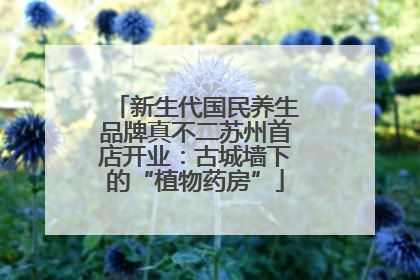 新生代国民养生品牌真不二苏州首店开业：古城墙下的“植物药房”