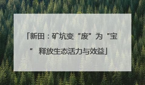 新田：矿坑变“废”为“宝” 释放生态活力与效益