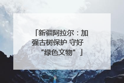 新疆阿拉尔：加强古树保护 守好“绿色文物”