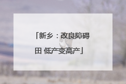 新乡：改良障碍田 低产变高产