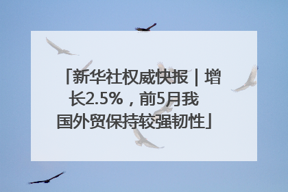 新华社权威快报｜增长2.5%，前5月我国外贸保持较强韧性