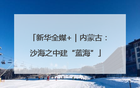 新华全媒+｜内蒙古：沙海之中建“蓝海”