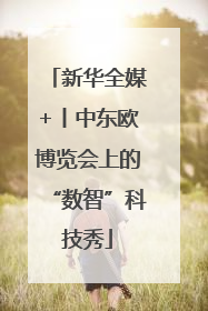 新华全媒+丨中东欧博览会上的“数智”科技秀