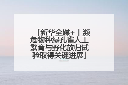 新华全媒+丨濒危物种绿孔雀人工繁育与野化放归试验取得关键进展