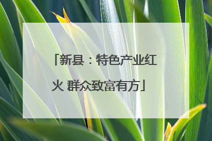 新县：特色产业红火 群众致富有方