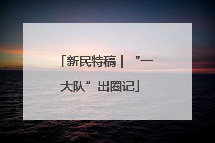 新民特稿｜“一大队”出圈记