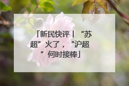 新民快评丨“苏超”火了，“沪超”何时接棒