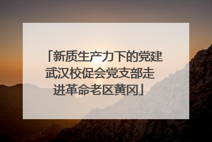 新质生产力下的党建 武汉校促会党支部走进革命老区黄冈