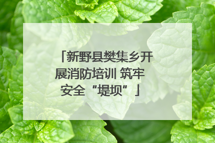 新野县樊集乡开展消防培训 筑牢安全“堤坝”