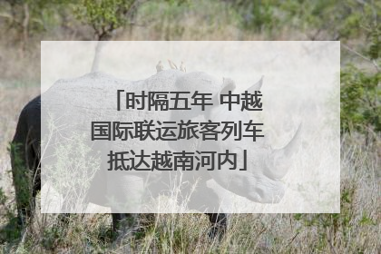 时隔五年 中越国际联运旅客列车抵达越南河内