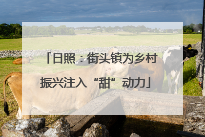 日照：街头镇为乡村振兴注入“甜”动力