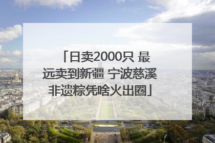 日卖2000只 最远卖到新疆 宁波慈溪非遗粽凭啥火出圈