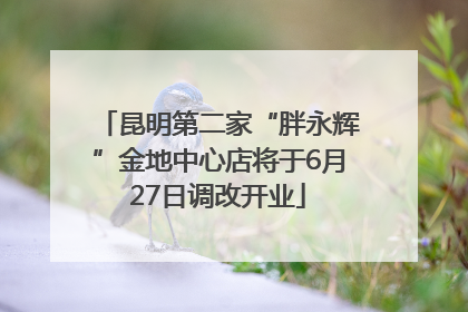 昆明第二家“胖永辉”金地中心店将于6月27日调改开业