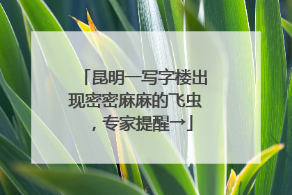 昆明一写字楼出现密密麻麻的飞虫，专家提醒→