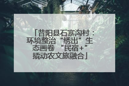 昔阳县石寨沟村：环境整治“绣出”生态画卷 “民宿+”撬动农文旅融合