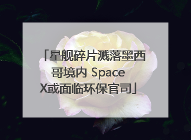 星舰碎片溅落墨西哥境内 SpaceX或面临环保官司