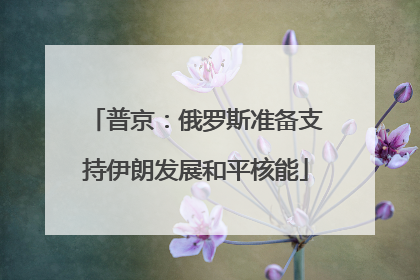 普京：俄罗斯准备支持伊朗发展和平核能