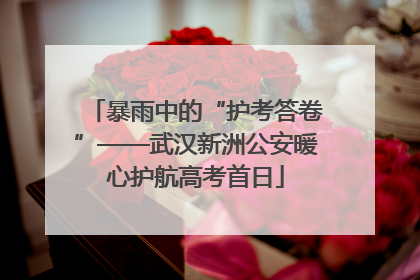 暴雨中的“护考答卷”——武汉新洲公安暖心护航高考首日