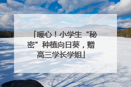 暖心！小学生“秘密”种植向日葵，赠高三学长学姐