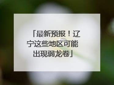 最新预报！辽宁这些地区可能出现弱龙卷