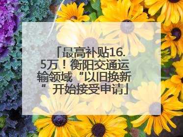 最高补贴16.5万！衡阳交通运输领域“以旧换新”开始接受申请