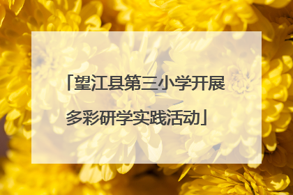 望江县第三小学开展多彩研学实践活动